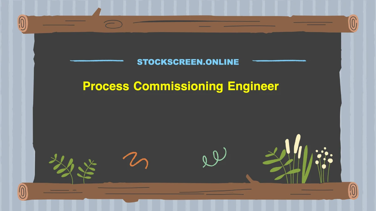 Process Commissioning Engineer