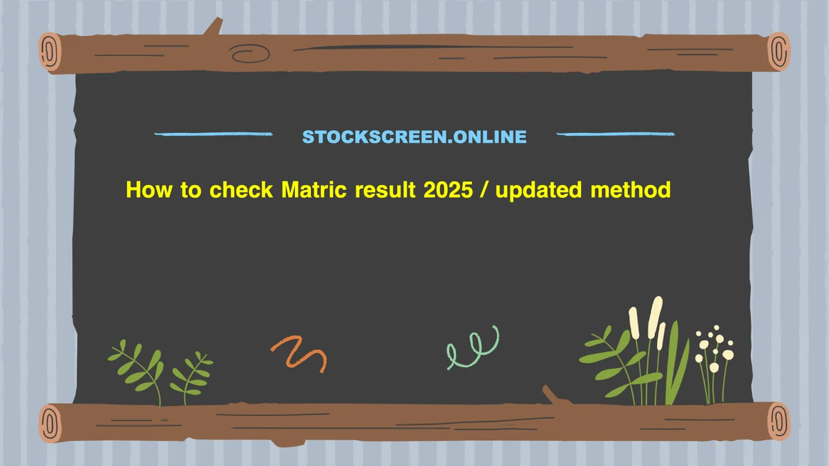 How to check Matric result 2025 / updated method