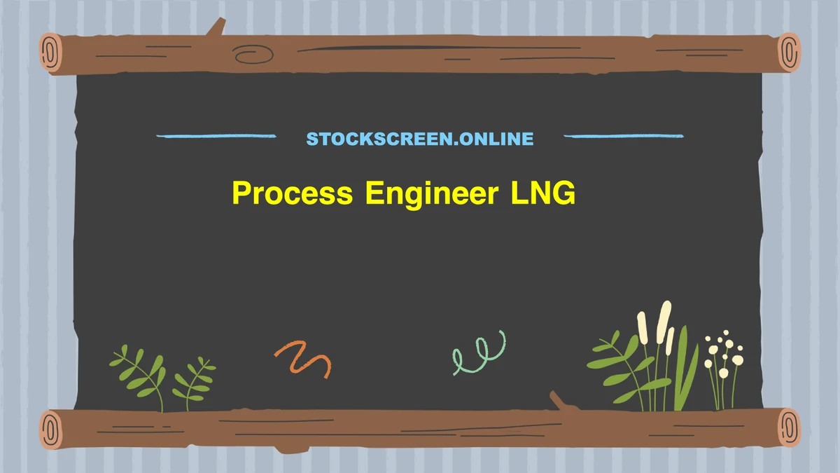 Process Engineer LNG