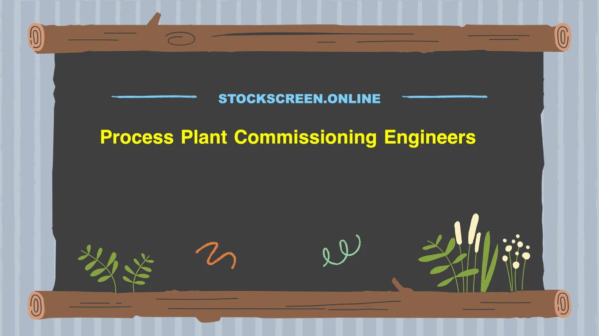 Process Plant Commissioning Engineers