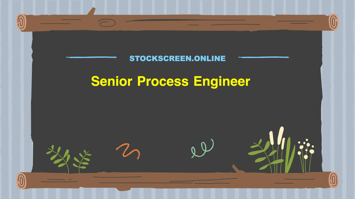 Senior Process Engineer
